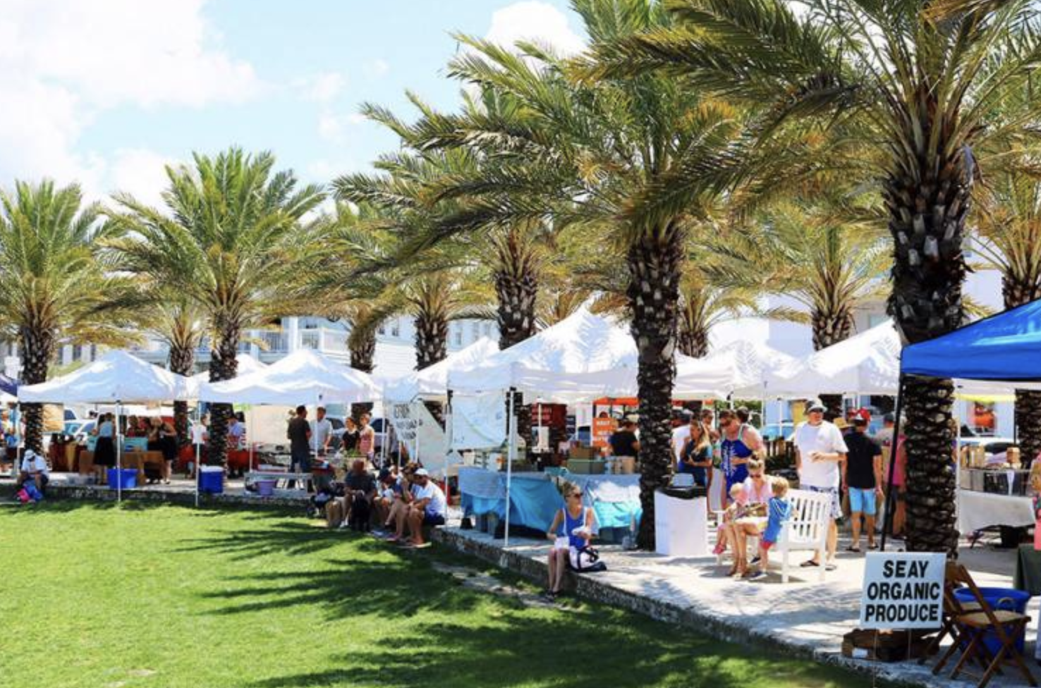 Things To Do Farmers Markets